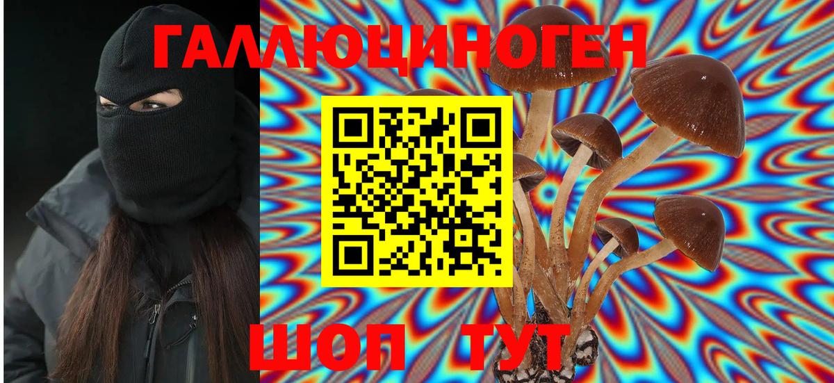 Псилоцибиновые грибы GOLDEN TEACHER Барнаул